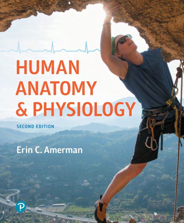 Human Anatomy & Physiology 2nd 2E Edition